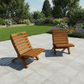 Camp Chair
