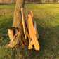Modern Royal Adirondack Chair
